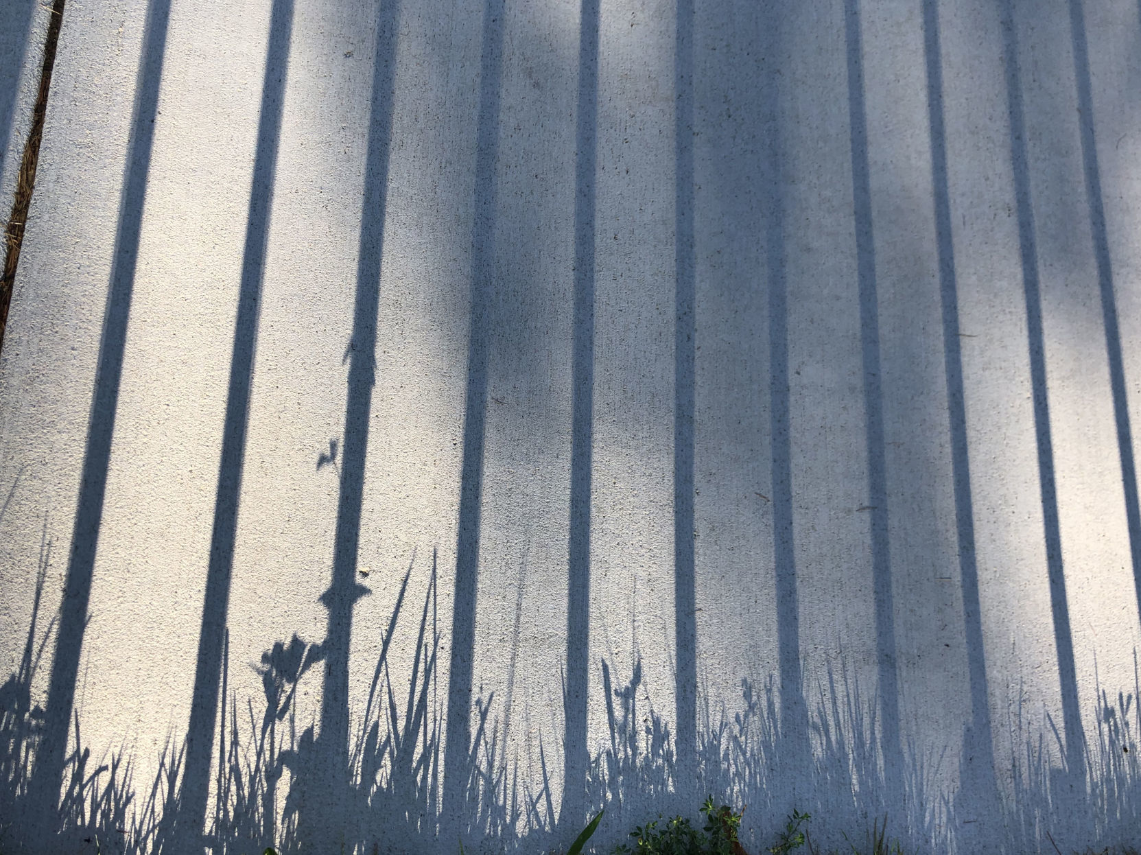 Angie Coots: Sunshine and shadow